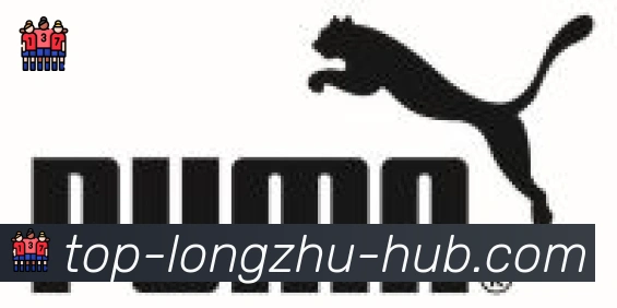 龙珠直播合作伙伴